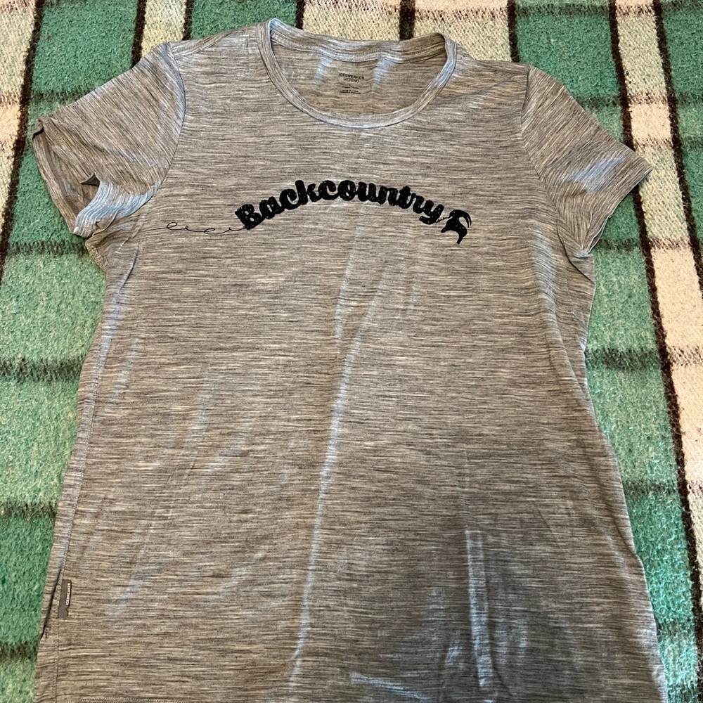 Icebreaker Merino Gray T-Shirt